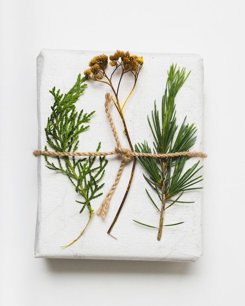 Free photo close-up of gift with string and fern