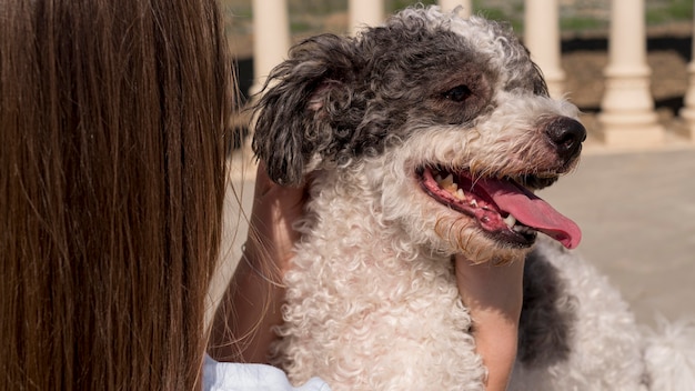 Free photo close-up girl holding adorable dog