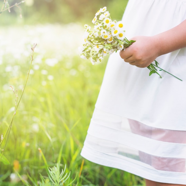 Free Photo close-up of a girl holding fresh white flowers in the garden