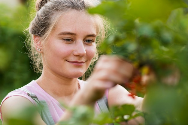 Free photo close-up girl picking fruits