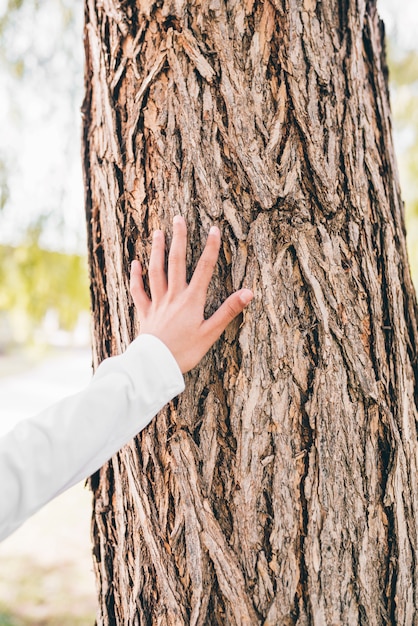 Free photo close-up of girl's hand touching the tree bark