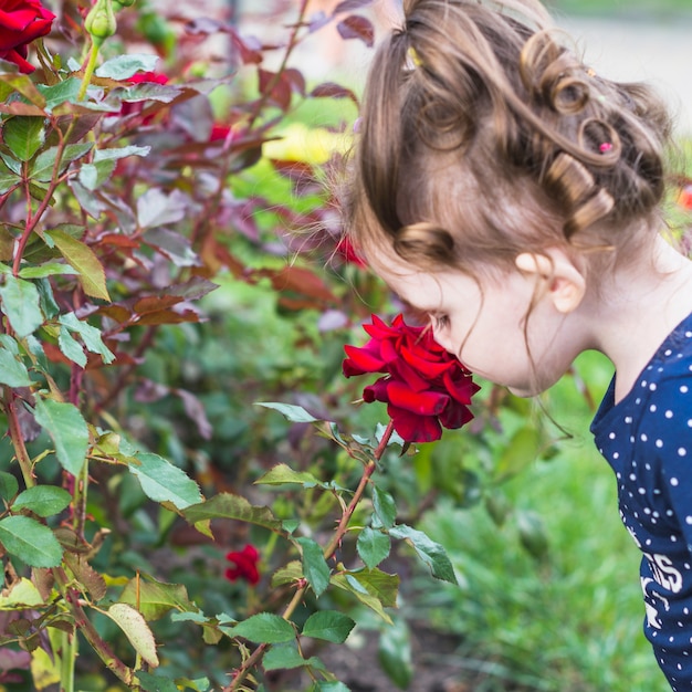 Free photo close-up of a girl smelling beautiful red rose