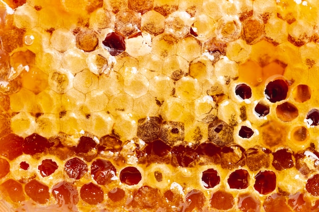 Close up golden natural honeycomb