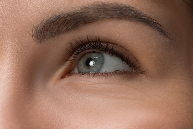 close up gray eyes on face of young beautiful caucasian girl