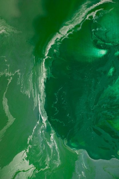 Free photo close up on green jade texture