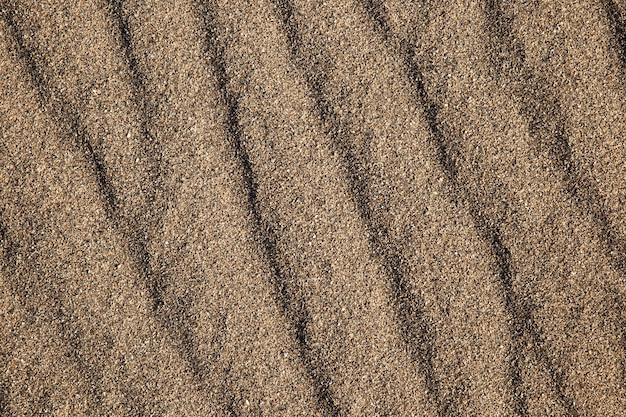 Free photo close up on ground texture detail