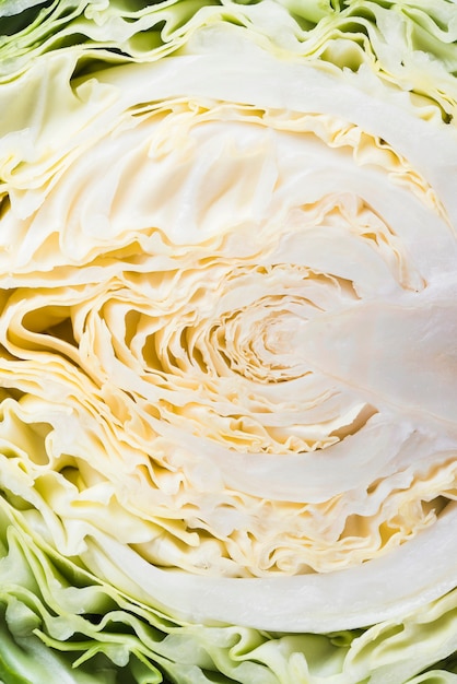 Free photo close-up half of cabbage