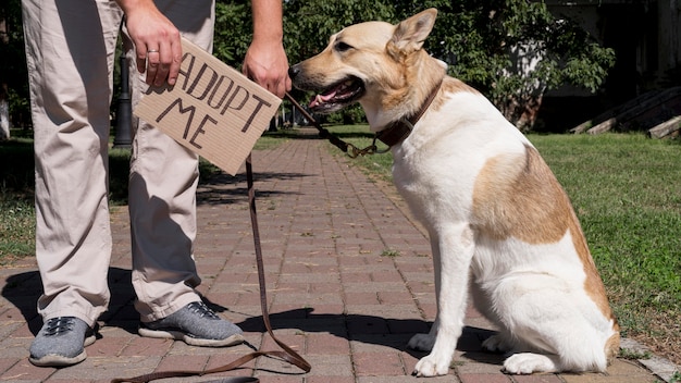 Free Photo close-up hand holding adopt me banner