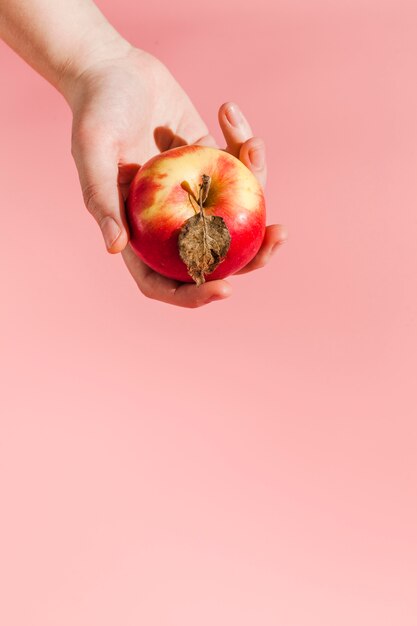 Close-up hand holding apple