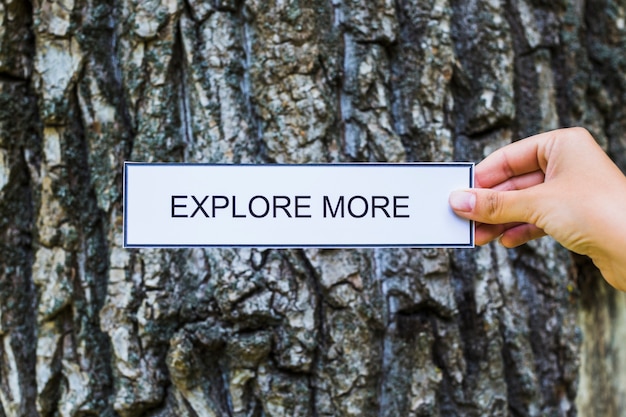 Free photo close-up of hand holding explore more label against tree bark