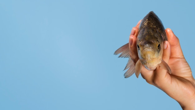 Close-up hand holding fish with copy space