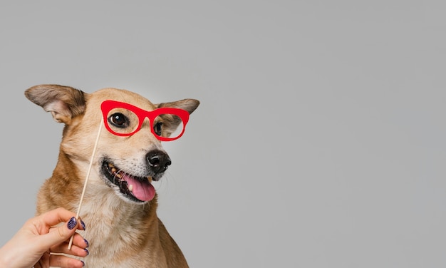 Free Photo close-up hand holding glasses