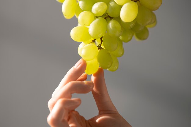 Close up hand holding green grapes for summertime