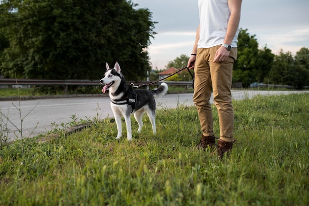 Close up hand holding husky's leash