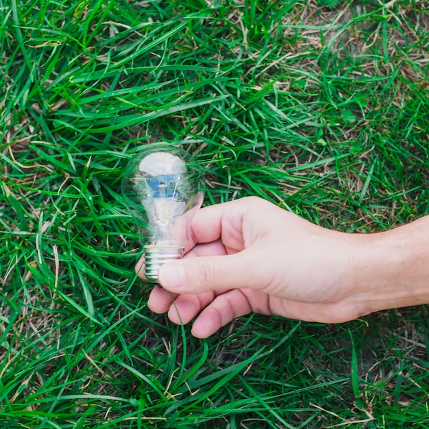 Free Photo close-up of hand holding light bulb on green grass