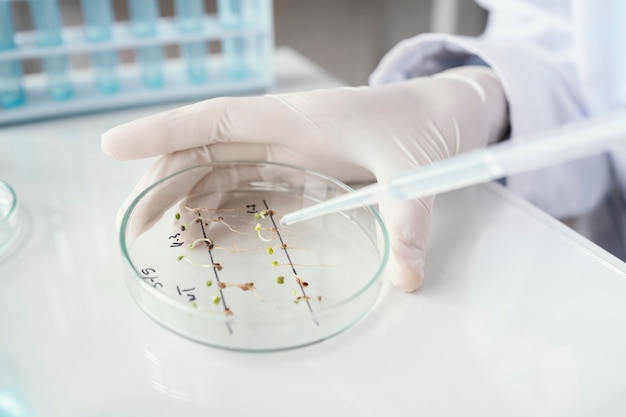 Free photo close up hand holding petri dish