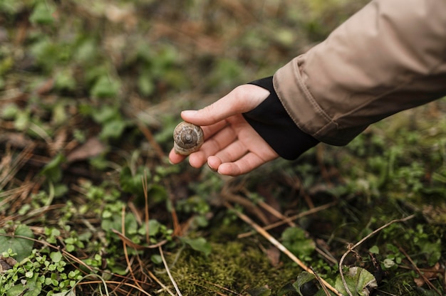 Free Photo close up hand holding snail shell