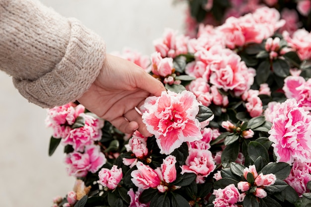 Close-up hand touching blooming flowers