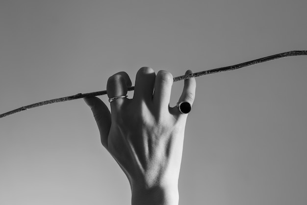 Free photo close up hand with rings holding plant