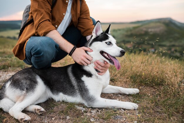 Close up hands holding dog