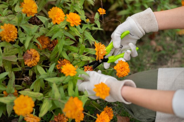 Close up hands holding gardening tool