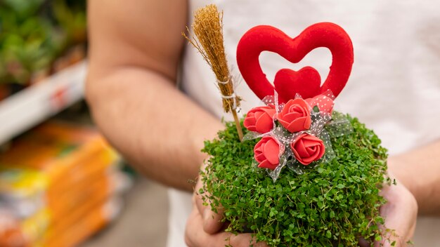 Close-up hands holding house plant