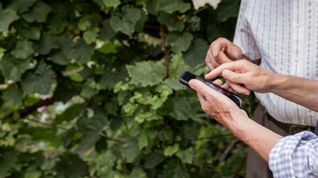 Free Photo close-up hands holding smartphone