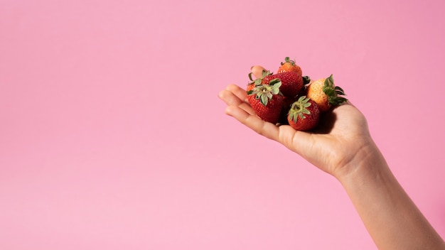 Close up hands holding strawberries