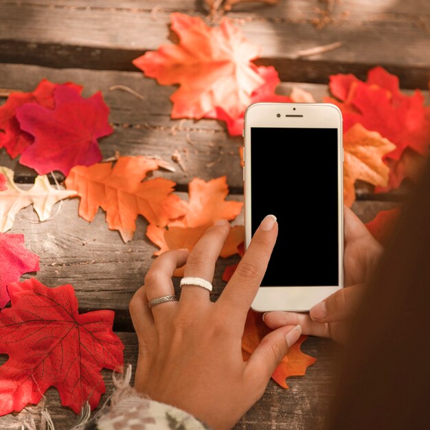 Close-up hands using smartphone over autumn leaves