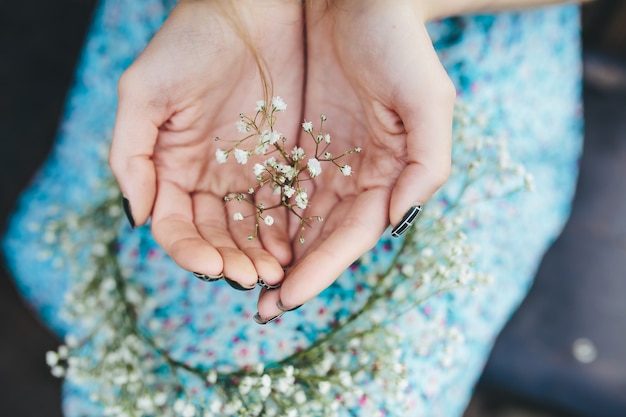 Free photo close-up of hands with a flowering twig