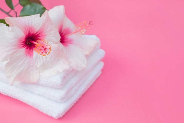 Close-up of hibiscus flowers and white towel on pink background