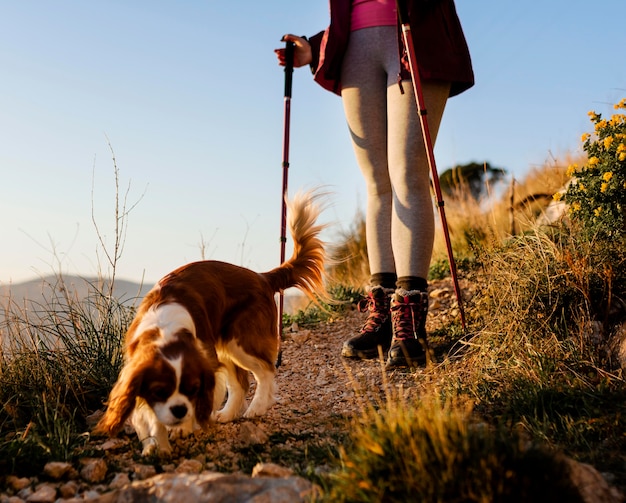 Free Photo close up hiker with cute dog