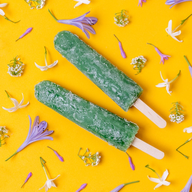 Free Photo close-up homemade popsicle ice cream with mint and kiwi flavours