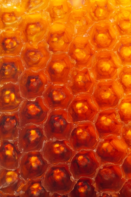 Close-up of honeycomb texture