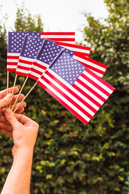 Free photo close-up of human hand holding american usa flags