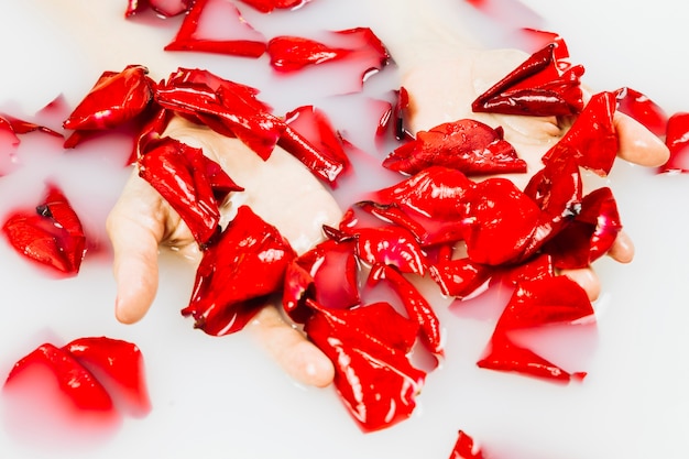 Free Photo close-up of a human hand with red flower petals in cleat white water