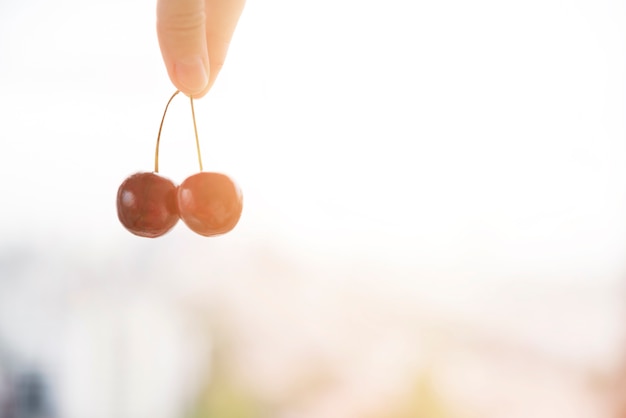 Close-up of human's finger holding red cherries twig against blurred backdrop