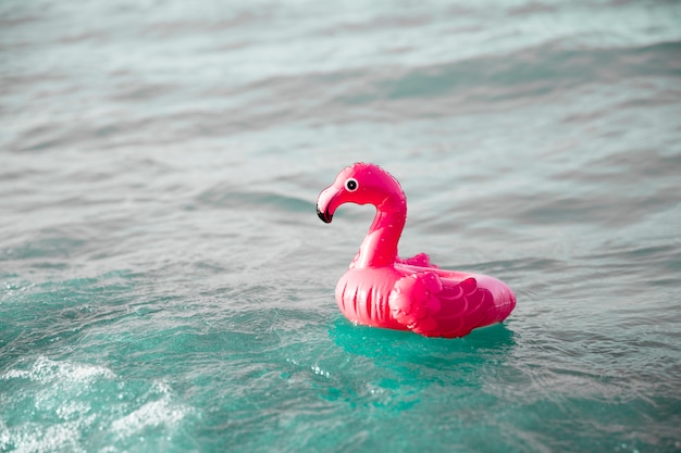 Free Photo close up inflatble flamingo swim ring on water