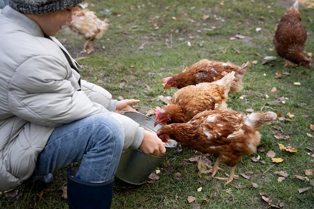 Free photo close up kid feeding chickens