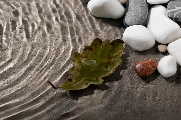 Free Photo close up on leaf floating on water