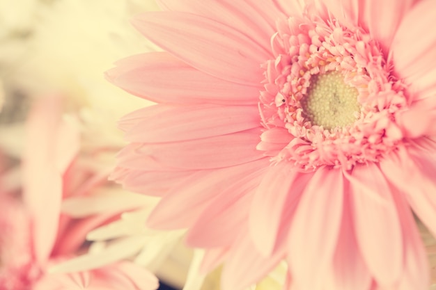 Close up macro flower