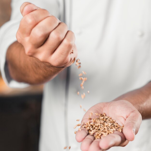 Close-up of male baker's hand spilling wheat grains on hands