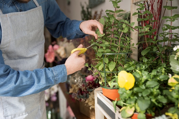 Close-up of male florist cutting the leaves of plant with scissor