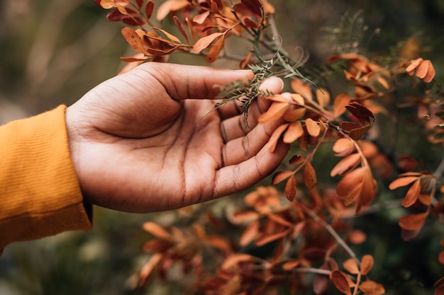 Free photo close-up of a male hiker hand touching the leaves of plant