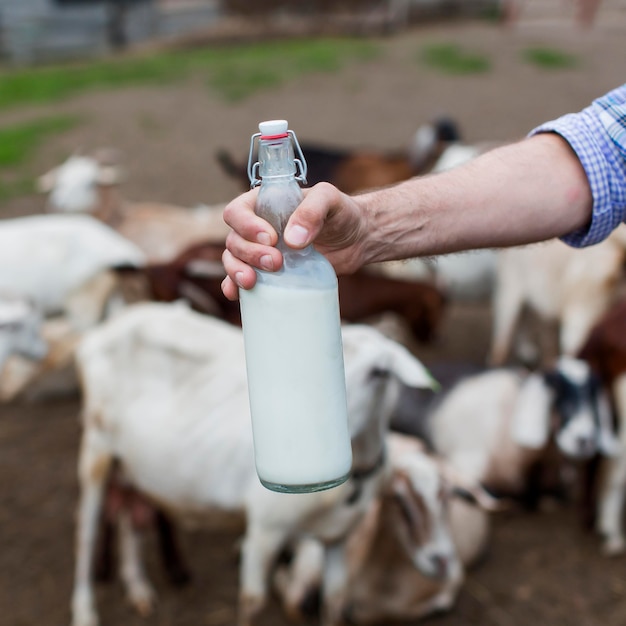 Free photo close-up man holding bottle of goats milk