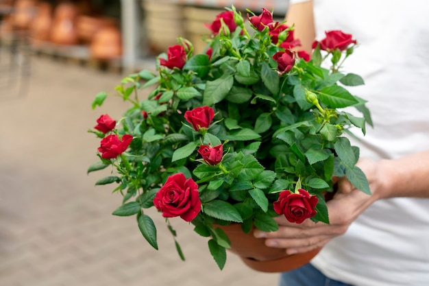 Close-up man holding elegant flowers