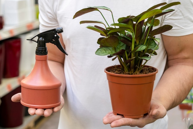 Free Photo close-up man holding house plant