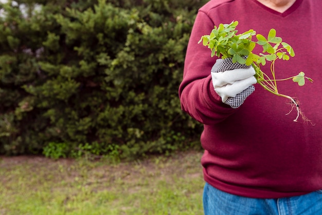 Free photo close-up man holding plant