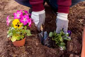 Free photo close-up man planting flowers in soil