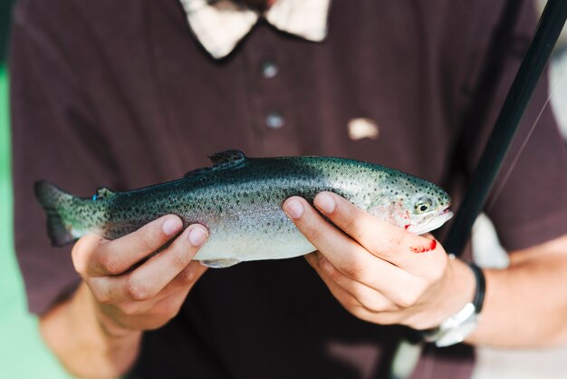 Close-up of man's hand holding caught fish